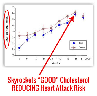 Charts Cholesterol Keto2b m