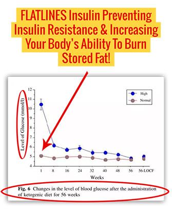 Charts Insulin Keto2b m